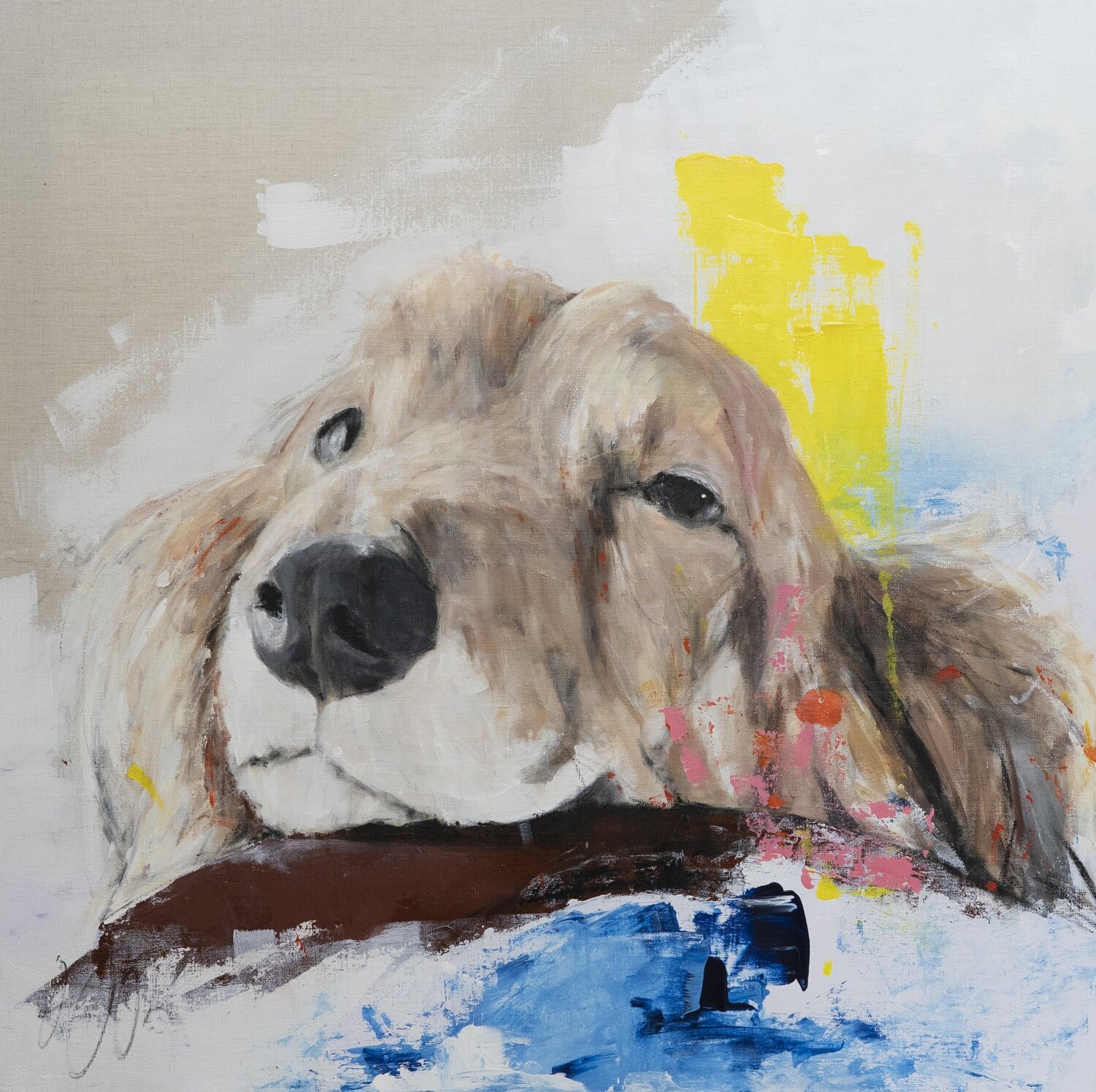 a dog Dachshund Tomoya Nakano