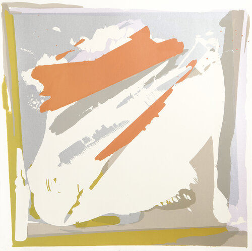 Pelican Special van Darryl Hughto, Afdruk te koop op Singulart