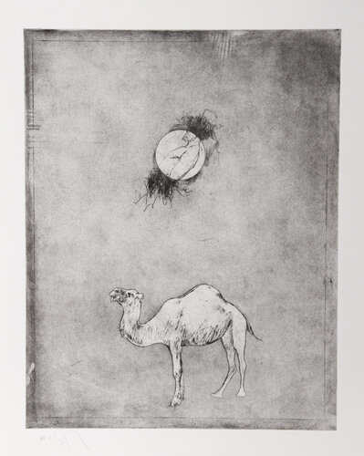 Camel Moon van Donald Saff, Afdruk te koop op Singulart