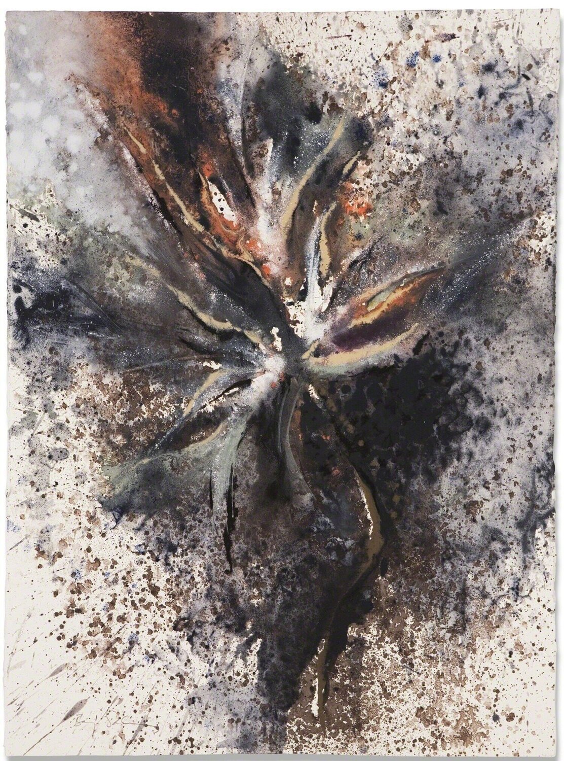 Ave de Paraiso Baruj Salinas