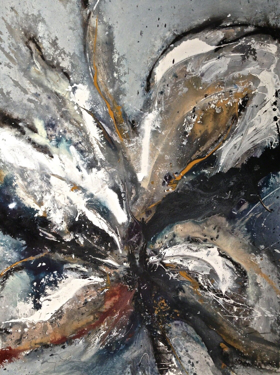 Brote VII Baruj Salinas