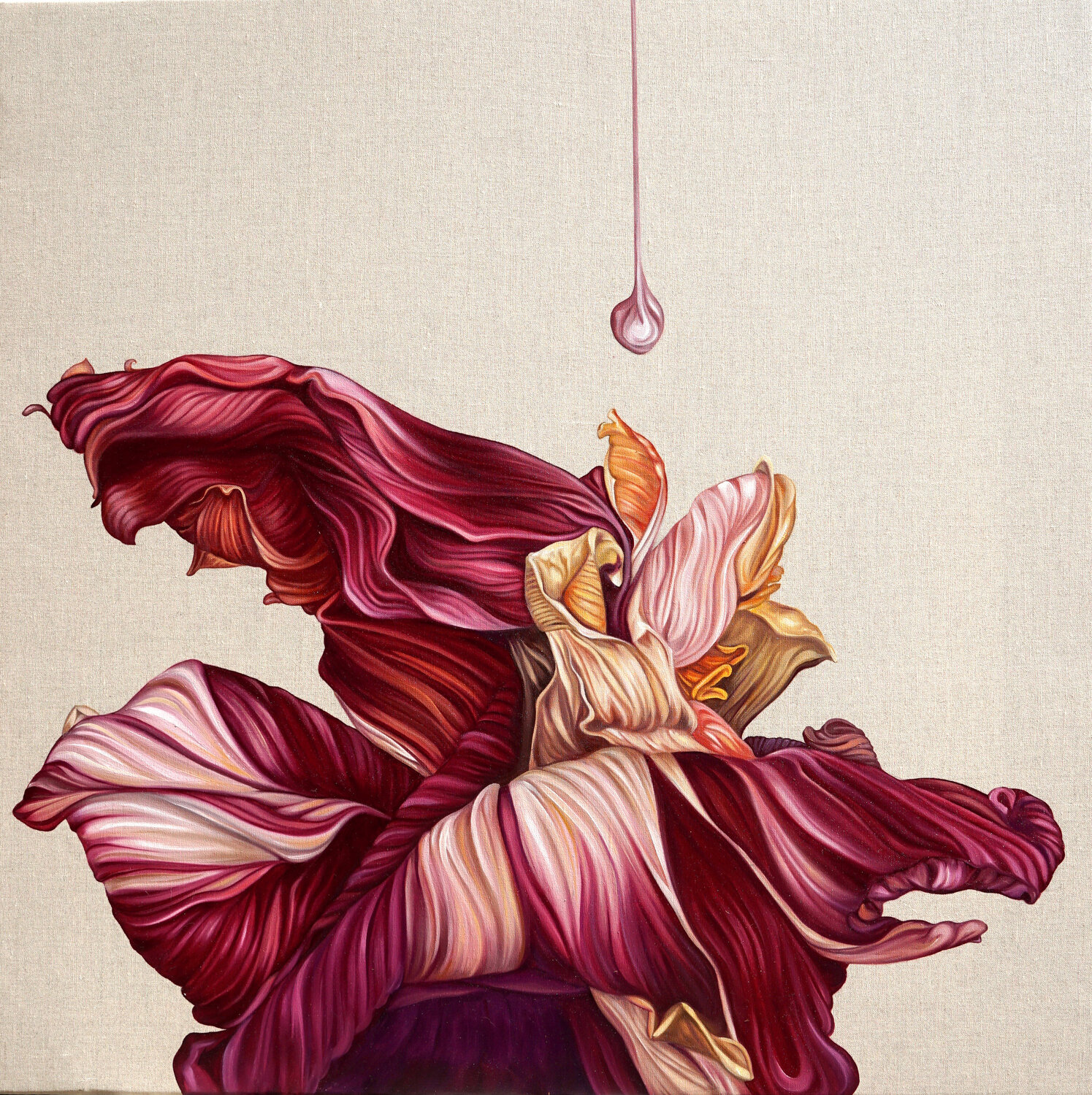 Splash Caroline Pera