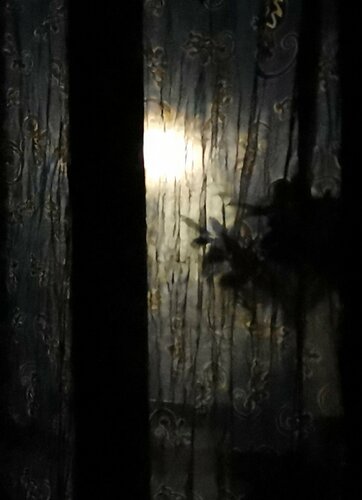 Vision de nuit di Jean-Robert Franco, Fotografia in vendita su Singulart