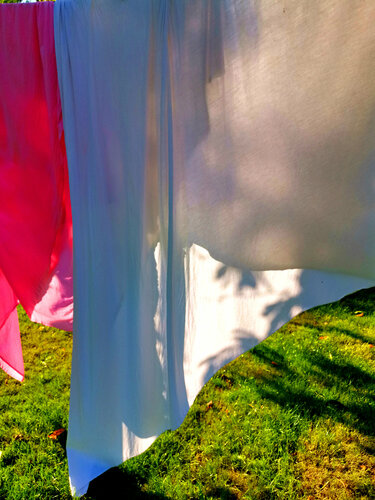 Linge, Pauilhac von Jean-Robert Franco, Fotografie kaufen auf Singulart