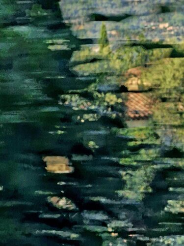 Végétation floue von Jean-Robert Franco, Fotografie kaufen auf Singulart