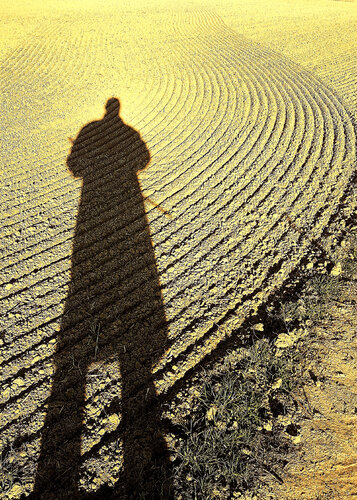 Désir de chasse di Jean-Robert Franco, Fotografia in vendita su Singulart