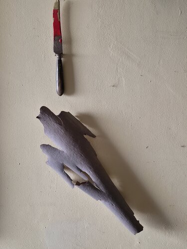 Artefact et naturalia von Jean-Robert Franco, Fotografie kaufen auf Singulart