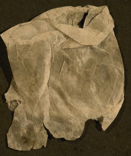 Pliage 2 by Jean-Robert Franco, Photography for Sale on Singulart