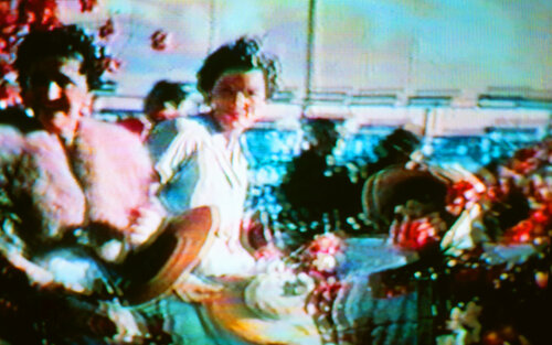 Bataille de fleurs by Jean-Robert Franco, 사진 for Sale on Singulart