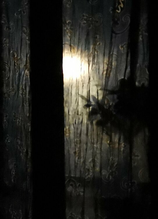 Vision de nuit Jean-Robert Franco