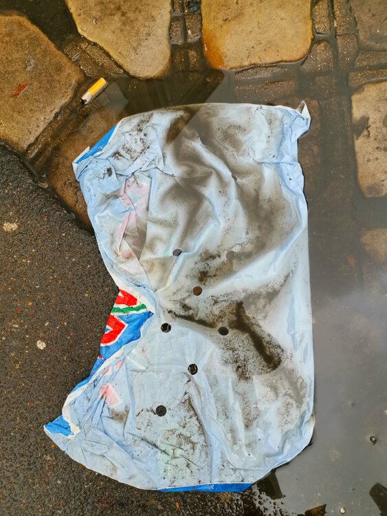 Déchet sublime 1 Jean-Robert Franco