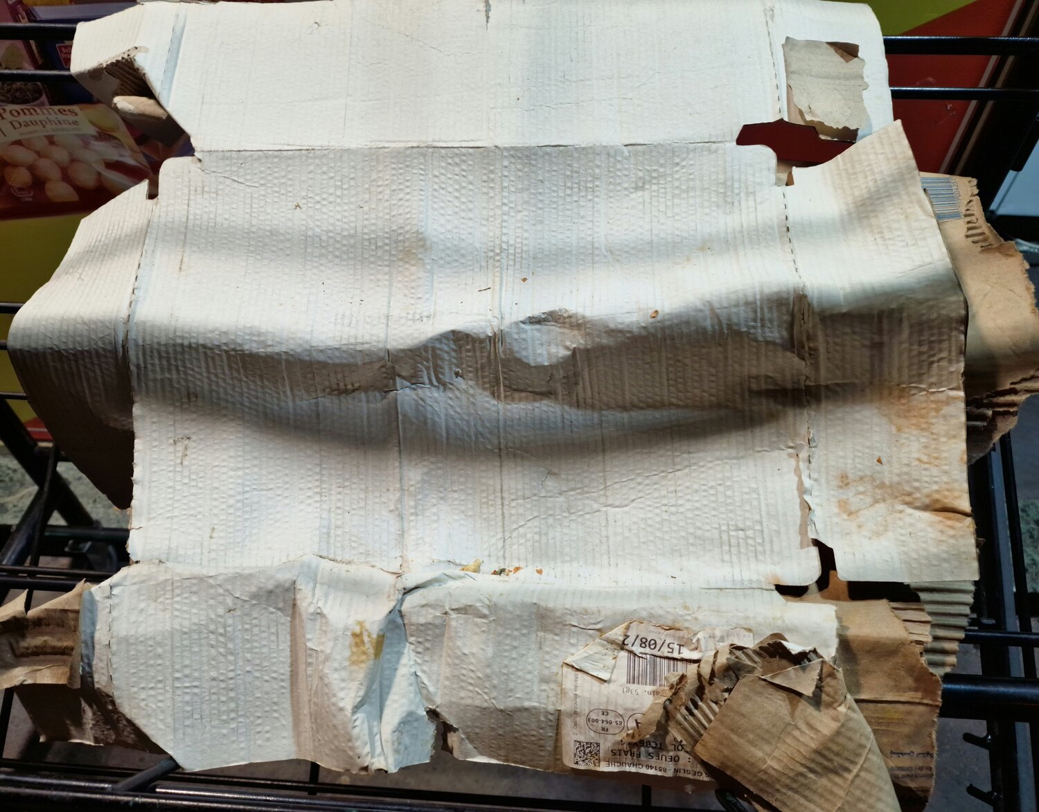 ondulations lumineuses Jean-Robert Franco