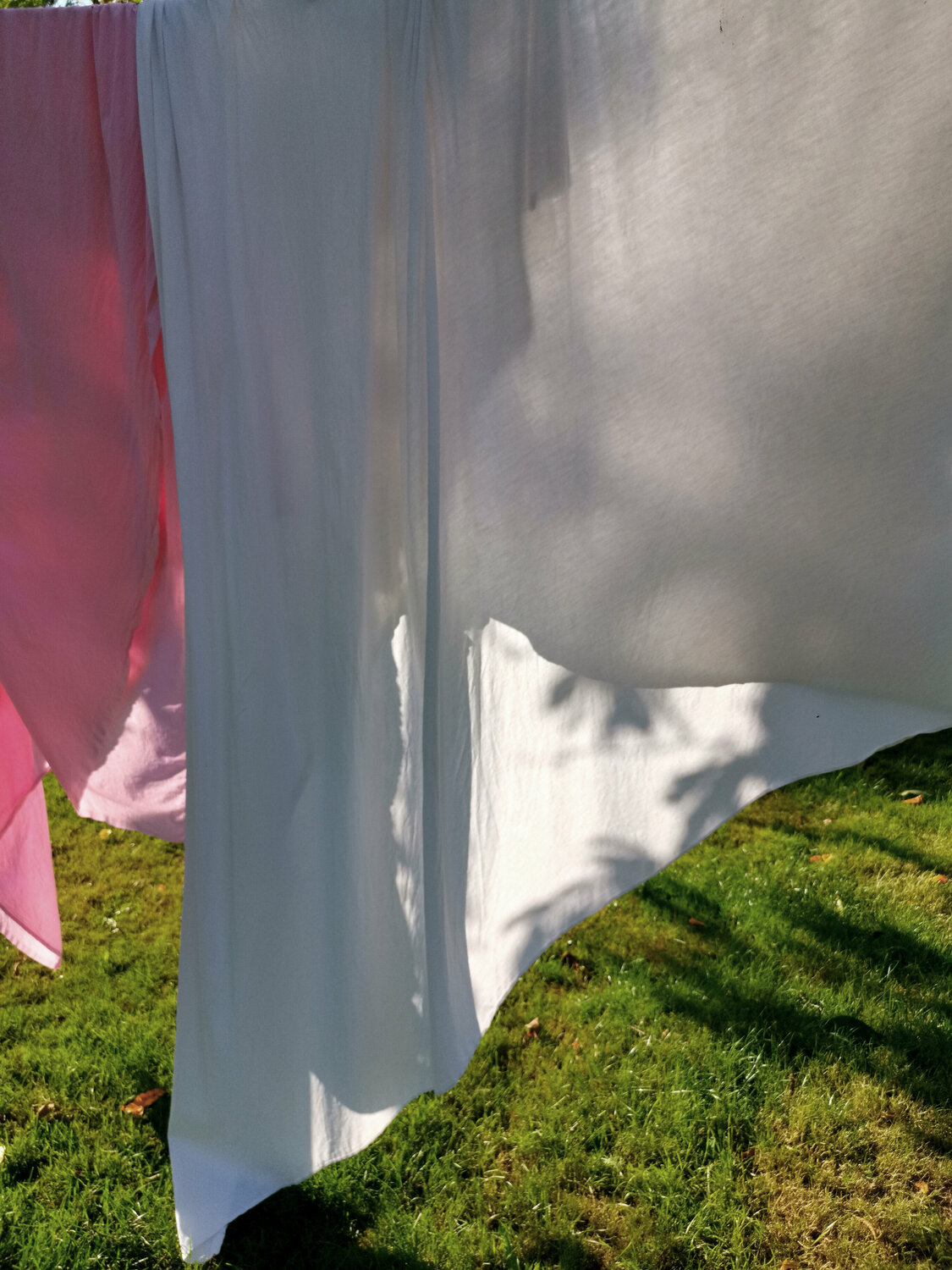 Linge... Jean-Robert Franco