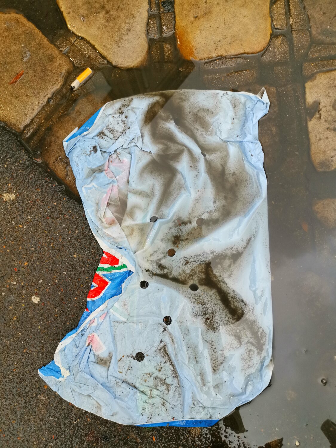 Déchet sublime 1 Jean-Robert Franco