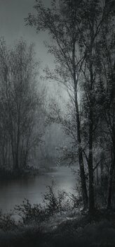 Gentle View Sang H. Han