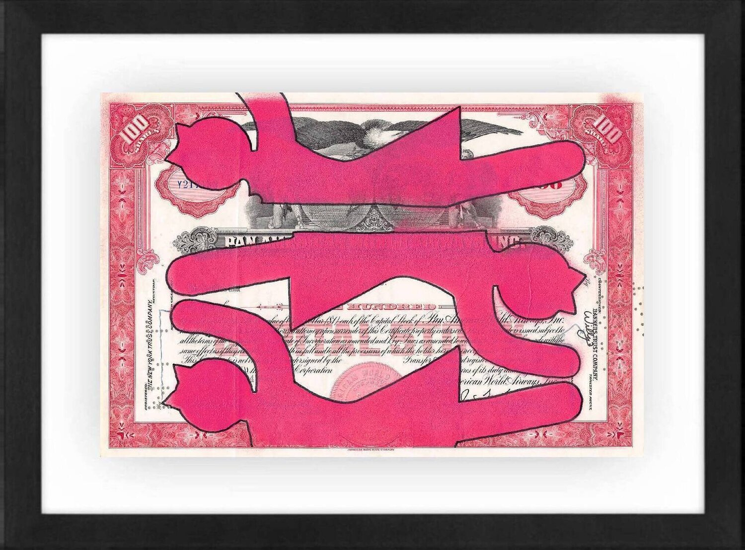 Pink x3 Willy B