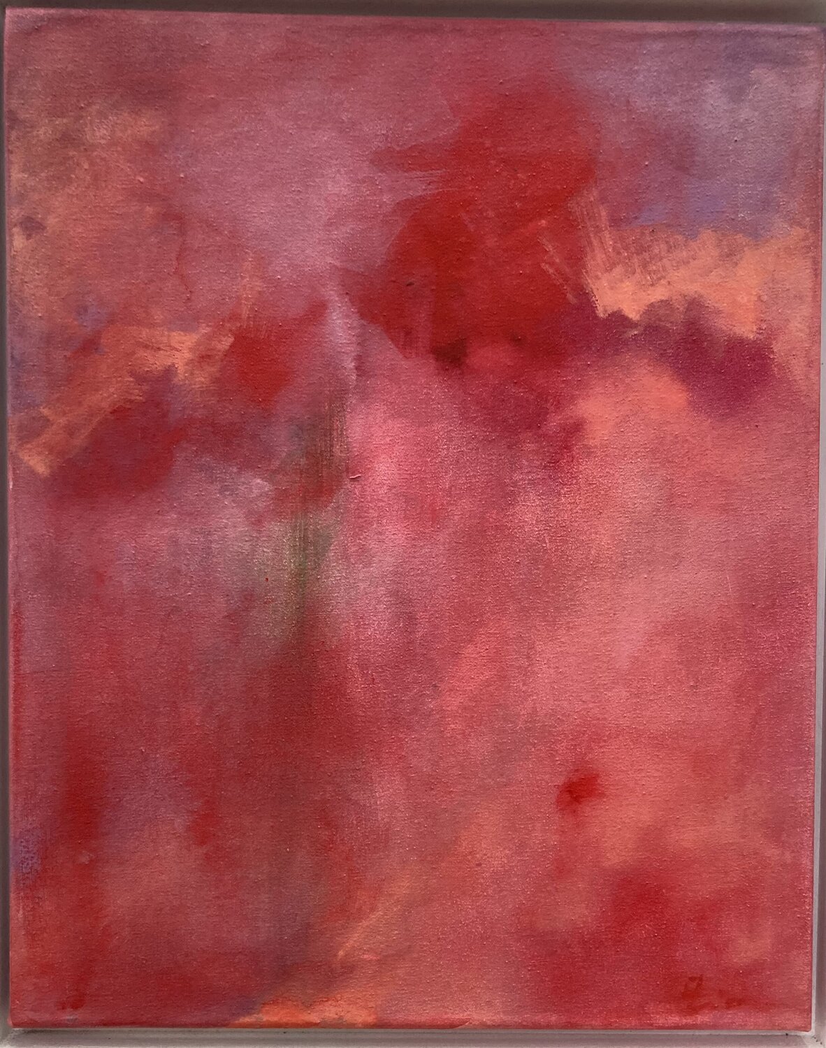 Klatschmohn trifft Koralle Andrea Dürr