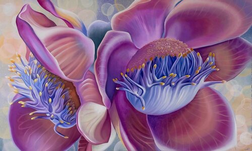 Cannonball Flower by Katya Rozz, 油畫 for Sale on Singulart