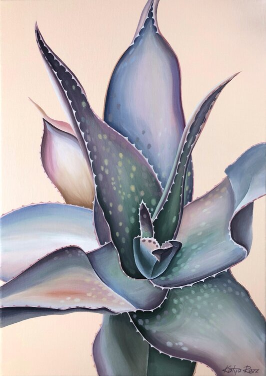 Aloe Katya Rozz