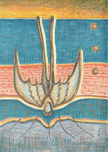 Daedalus by Ewa Dura, Work on Paper for Sale on Singulart