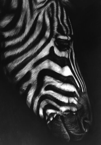 Contemplation von Chris Rossi, Zeichnungen kaufen auf Singulart