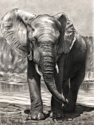 Masai Mara by Chris Rossi, 소묘 for Sale on Singulart