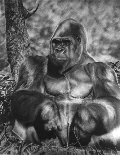 Détermination von Chris Rossi, Zeichnungen kaufen auf Singulart