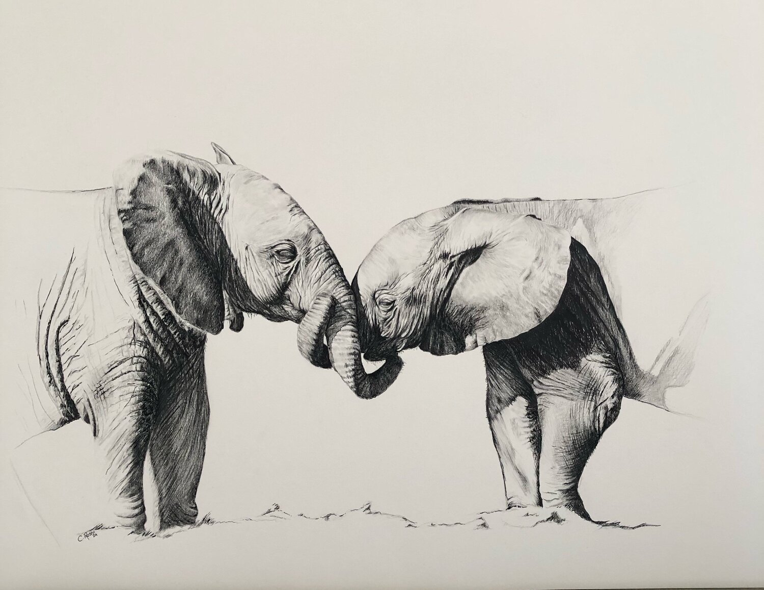 Les Amoureux Chris Rossi