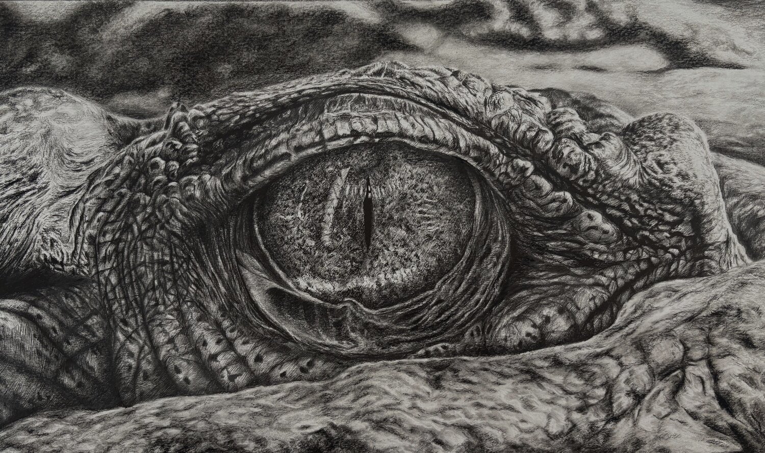 Crocodile Chris Rossi