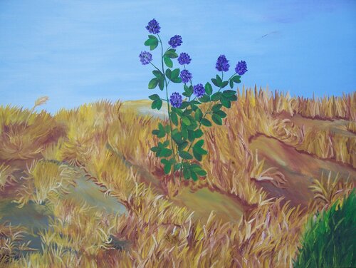 Sommer von Iris Hillmeister-Becker, Malerei kaufen auf Singulart