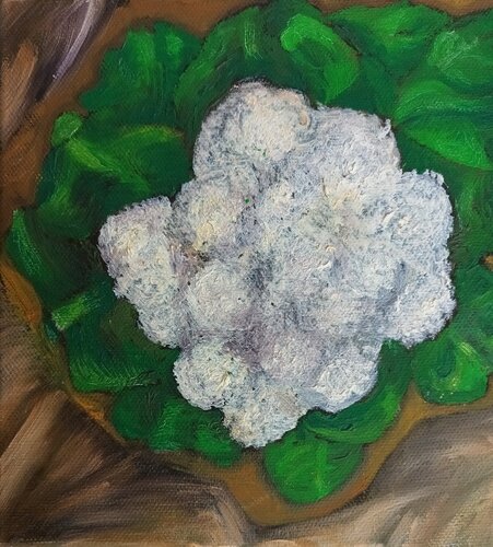 Blumenkohl van Iris Hillmeister-Becker, Schilderij te koop op Singulart