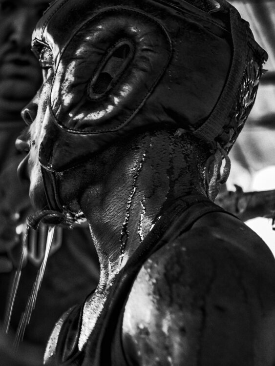 Havanamoon Henk Bleeker