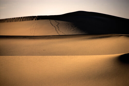 Death Valley Dunes de Arjan Bronkhorst, Fotografía a la venta en Singulart