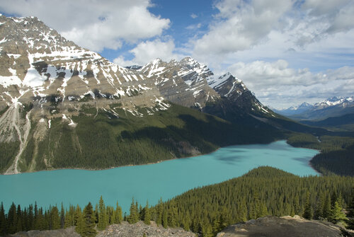 Peyto Lake de Arjan Bronkhorst, Fotografía a la venta en Singulart