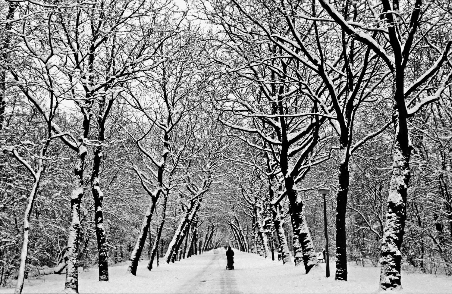 Winter Park Arjan Bronkhorst