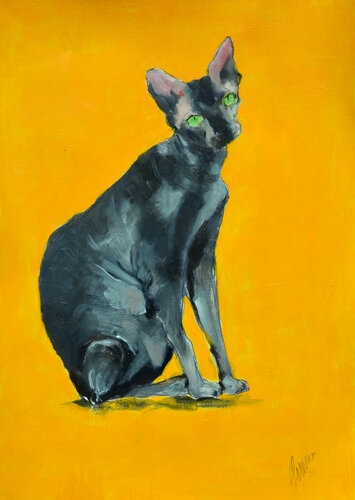 Black bald cat di Gemma Peres Romero, Pittura in vendita su Singulart