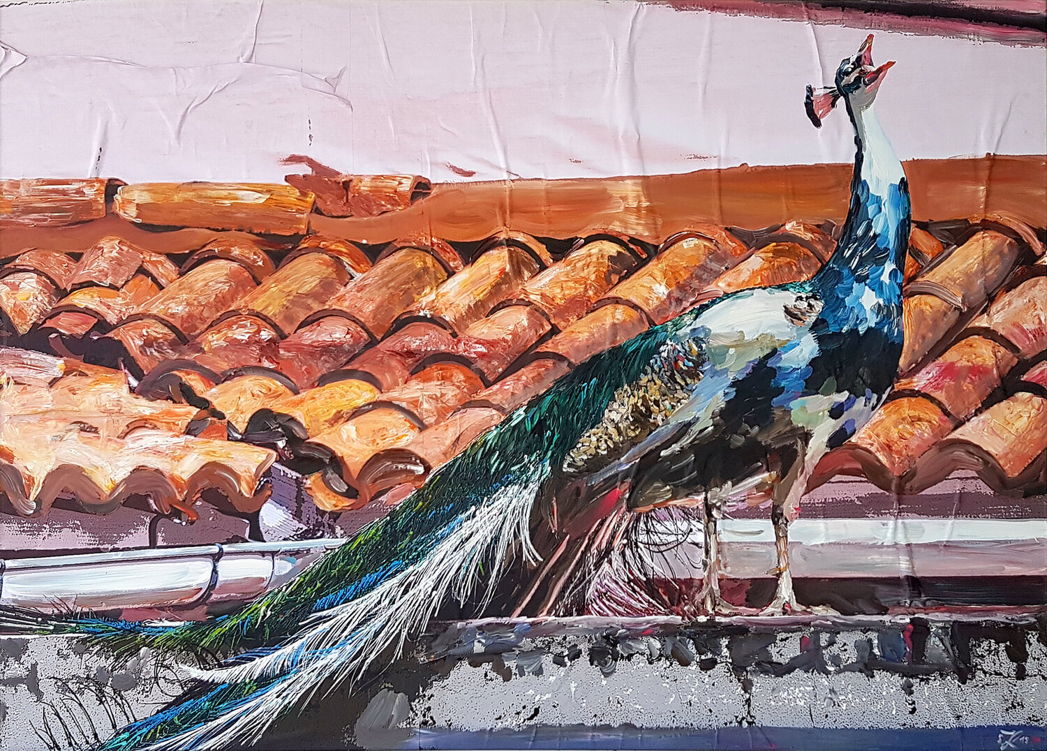 Peacock Jürgen Rosmarion