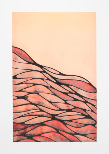 Inner Nets XIII - Ember Ridge par Nadine Achtelik, Œuvre sur papier en vente sur Singulart