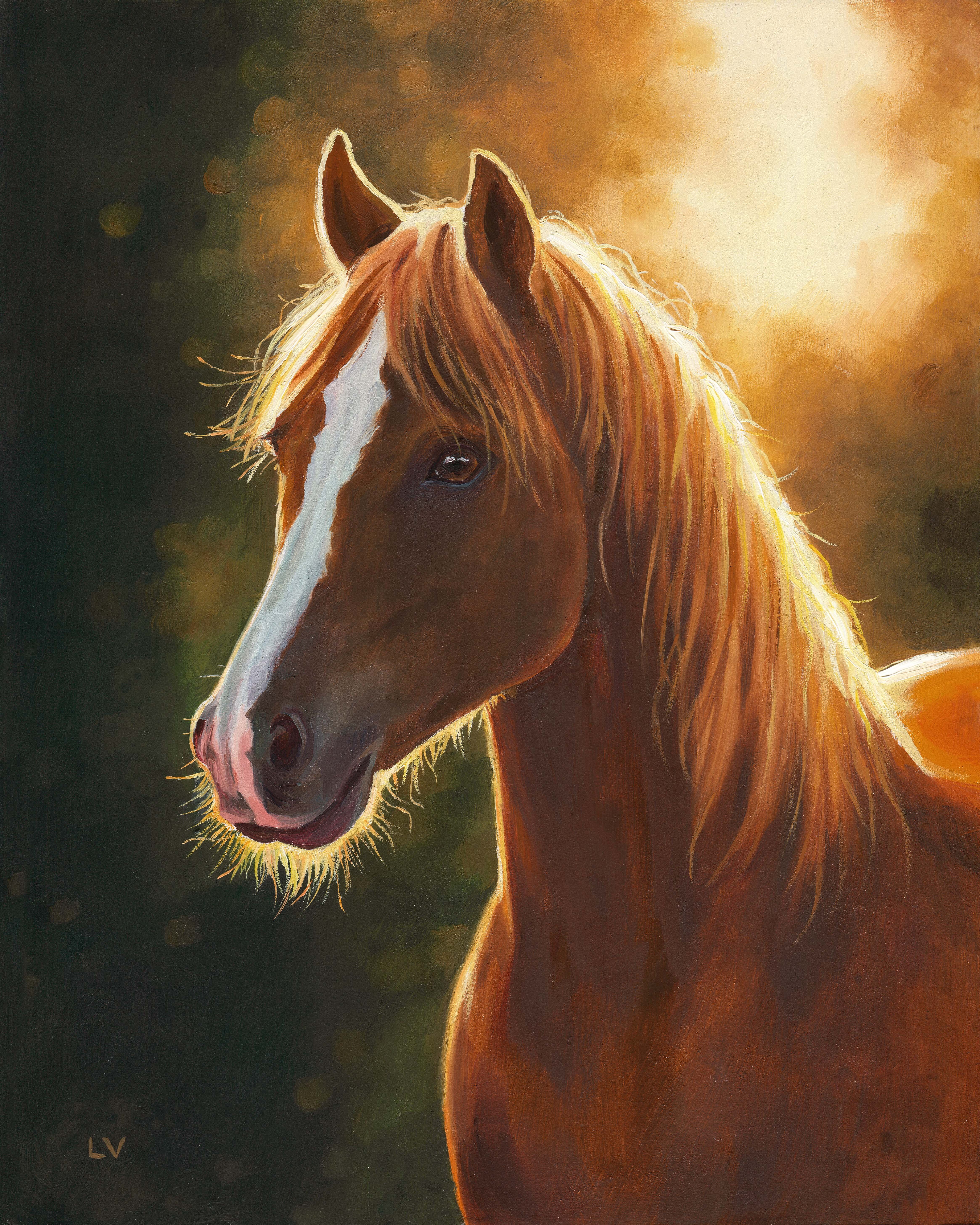 Brown horse portrait at sunset