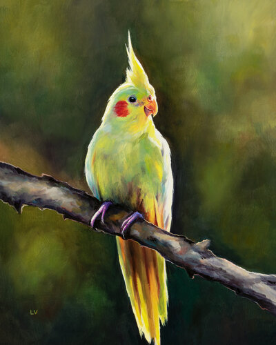 Yellow cockatiel on a branch by Lucía Verdejo, Painting for Sale on Singulart