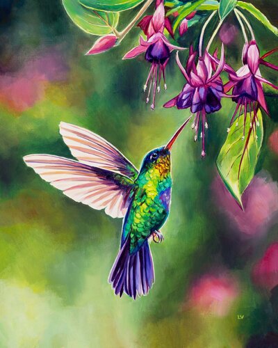 Hummingbird with fuchsia flowers van Lucía Verdejo, Schilderij te koop op Singulart