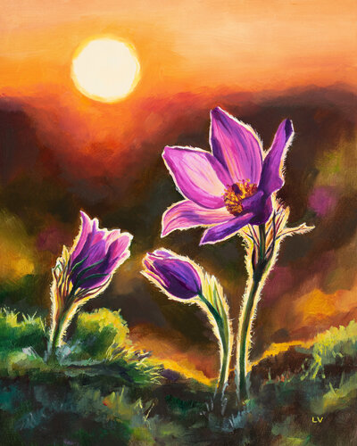 Pink anemone pulsatilla flowers van Lucía Verdejo, Schilderij te koop op Singulart