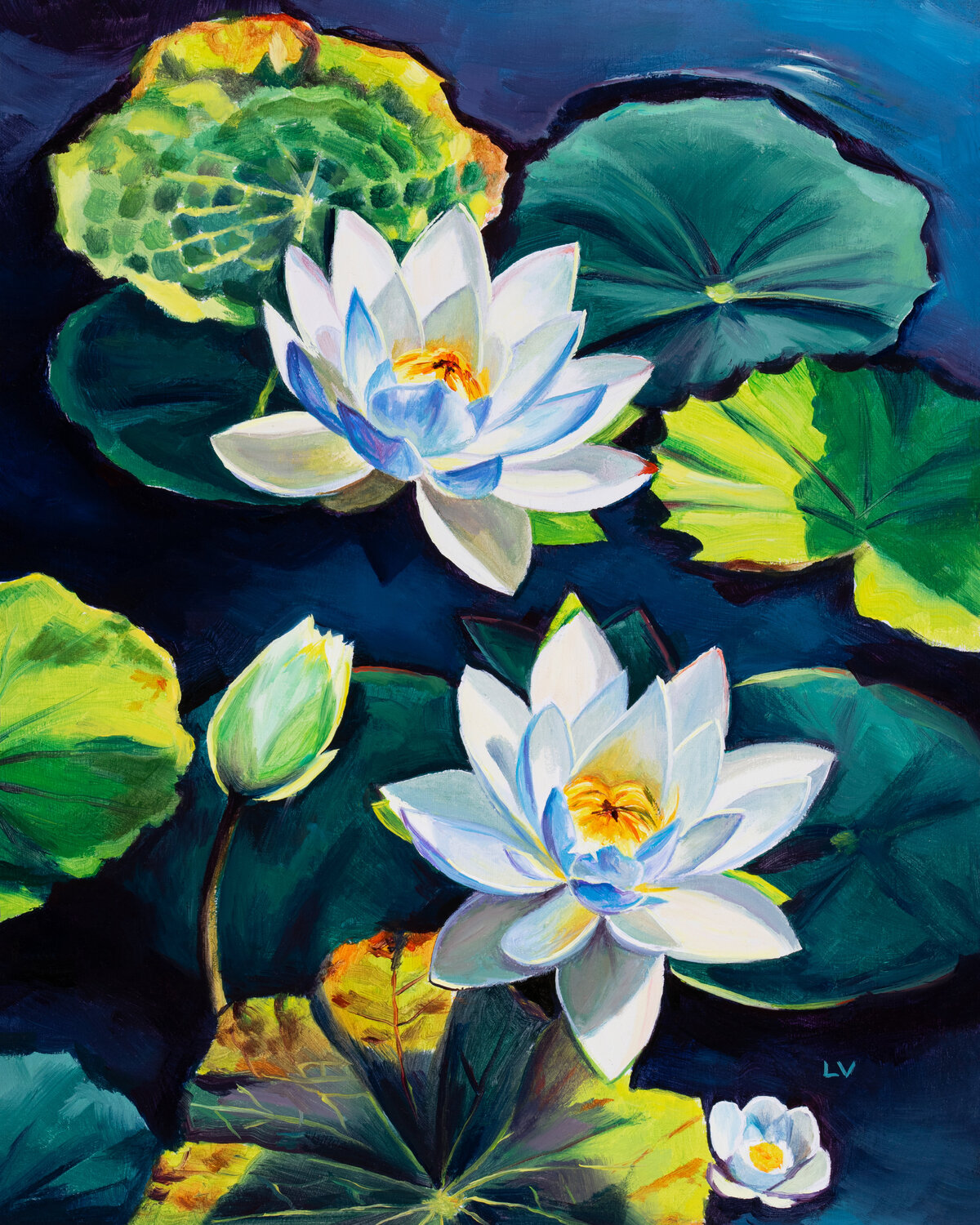 White water lily flowers on a pond Lucía Verdejo Originalgemälde zu verkaufen