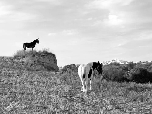 LES GARDIENS DE SANTORIN van Khélène, Fotografie te koop op Singulart
