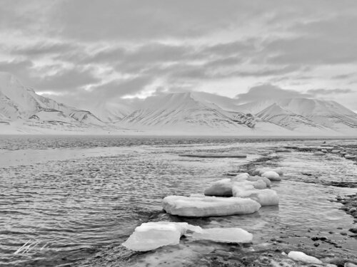 SILENCE ARCTIQUE van Khélène, Fotografie te koop op Singulart