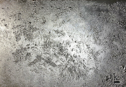 Archean Eucaryota 4.6 van Lena Galee, Schilderij te koop op Singulart