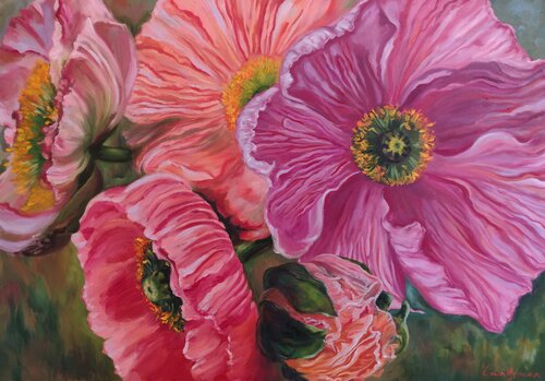 Island poppies Jane Lantsman