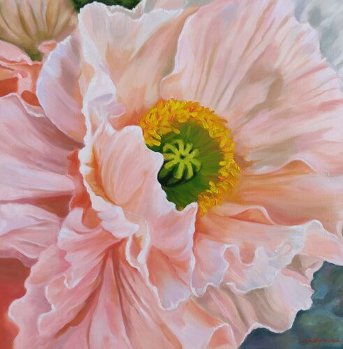Iceland poppy di Jane Lantsman, Pittura in vendita su Singulart