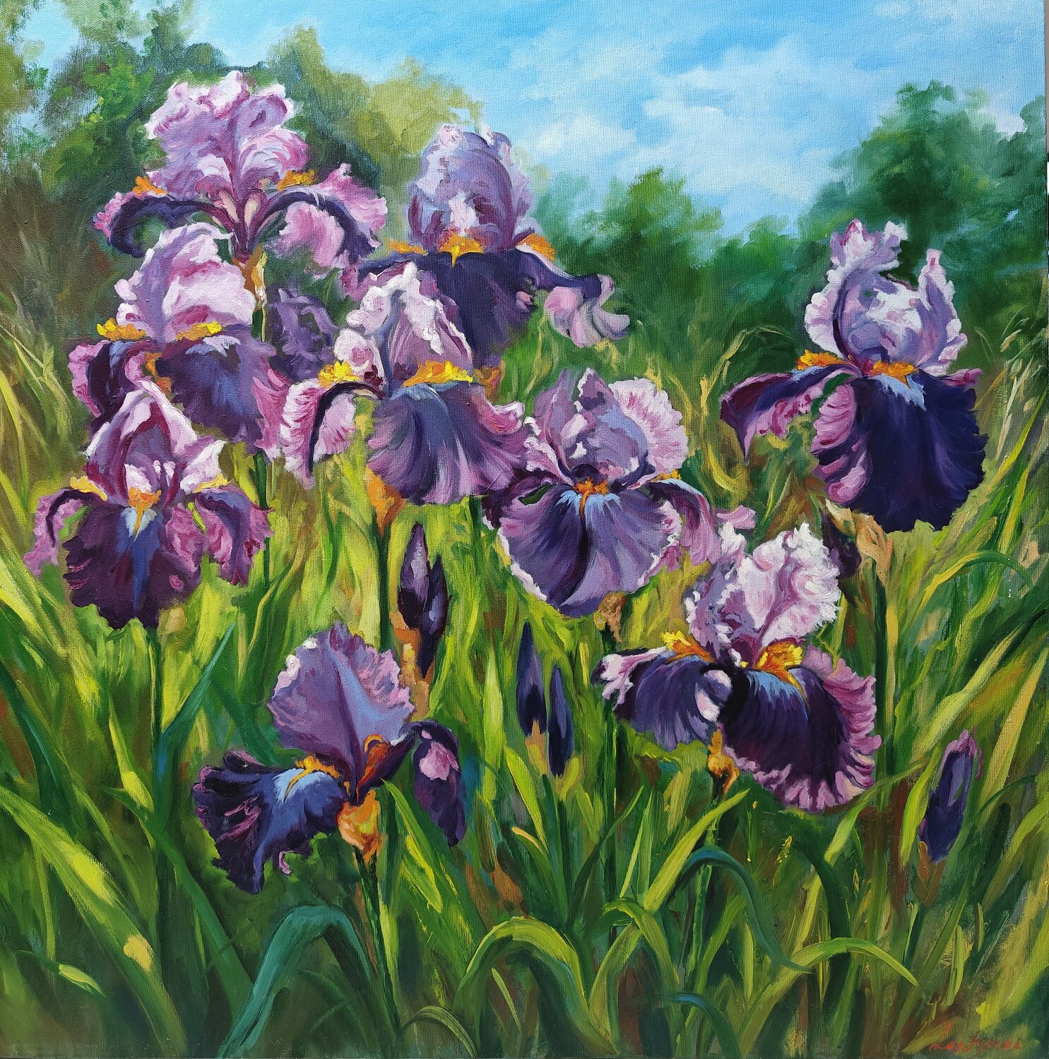Irises in a field Jane Lantsman
