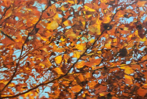 Goldener Herbst di Herwig Port, Pittura in vendita su Singulart